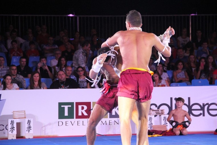 Martial Arts Festival